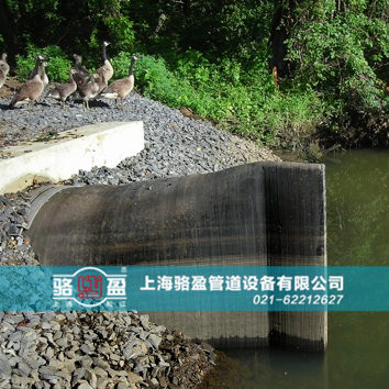 直嘴<a href=http://m.jnfeidi.com target=_blank class=infotextkey>橡膠止回閥</a>運(yùn)行現(xiàn)場